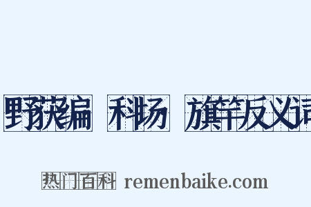野获编·科场·旗竿反义词是什么意思的图片